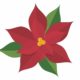 Poinsettia Sale