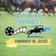 Nite at the Races