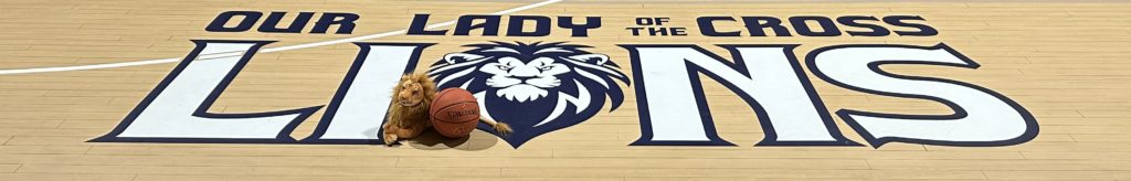 Lions Basketball Court website