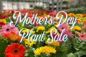 3rd Annual Plant Sale