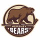 Hershey Bears Faith & Family Night
