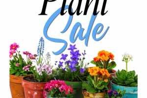 Plant Sale